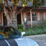 Cambria_2015_0172 (November 07, 2015)